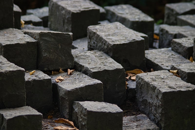 Wooden building blocks